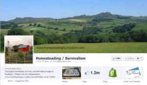 homesteading survivialism